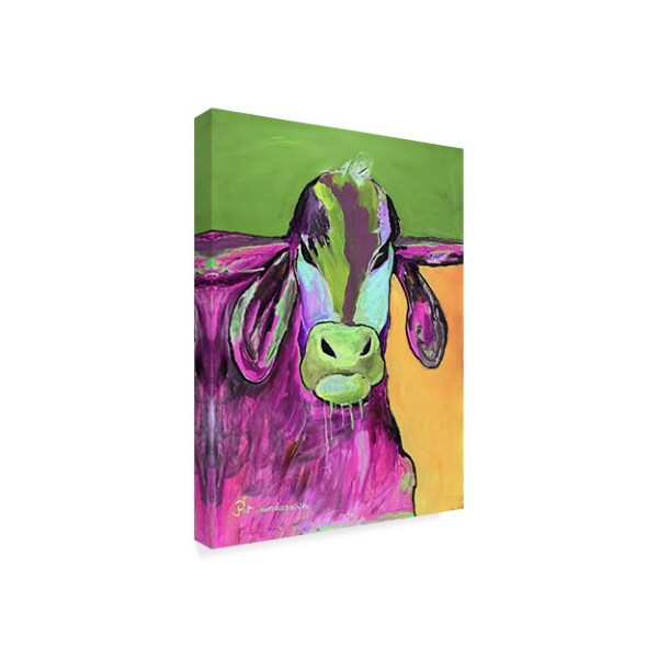 Pat Saunders-White 'Color Series Bull Drool 3' Canvas Art,35x47